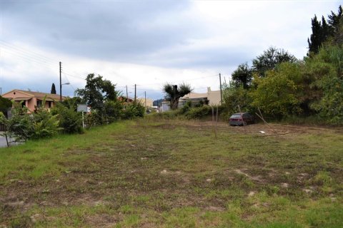 9868m² Land en Corfu, Greece No. 56945 2