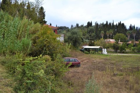 9868m² Land en Corfu, Greece No. 56945 5