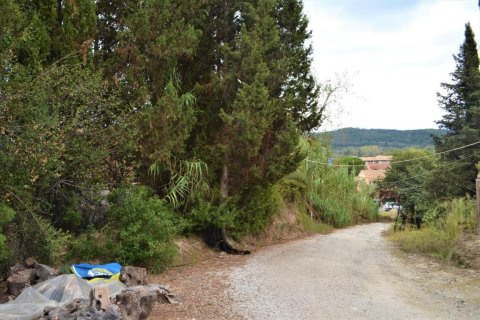 9868m² Land en Corfu, Greece No. 56945 7