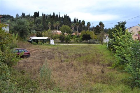 9868m² Land en Corfu, Greece No. 56945 4