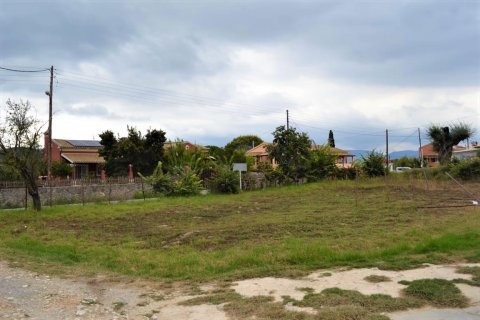 9868m² Land in Corfu, Greece No. 56945 1