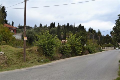 9868m² Land à Corfu, Greece No. 56945 10