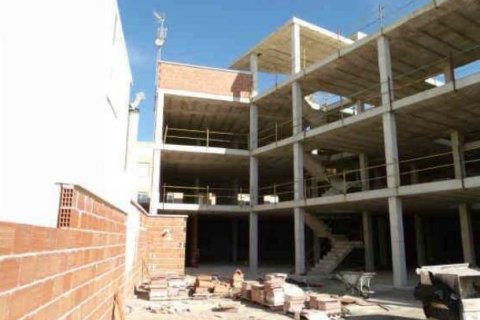 19 bedrooms Commercial property in Los Montesinos, Spain No. 27608 3