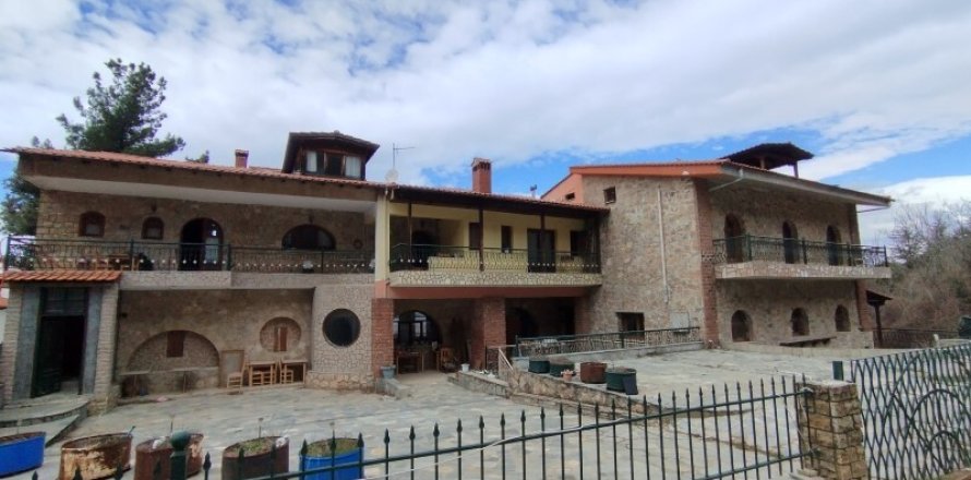 18 bedrooms Hotel in Chortiatis, Greece No. 54892