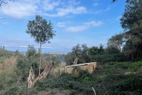 4111m² Land in Corfu, Greece No. 55666 3