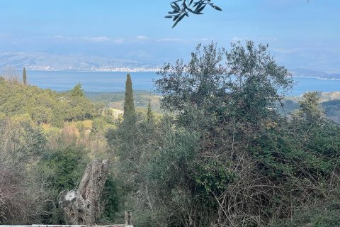 4111m² Land in Corfu, Greece No. 55666 14