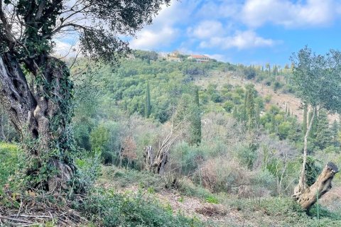 4111m² Land à Corfu, Greece No. 55666 4