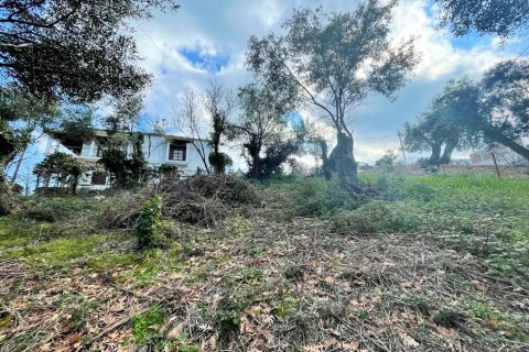 4111m² Land en Corfu, Greece No. 55666 5