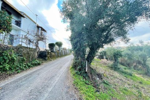 4111m² Land en Corfu, Greece No. 55666 9