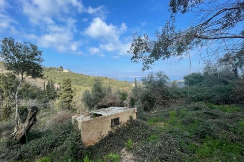 4111m² Land à Corfu, Greece No. 55666 12