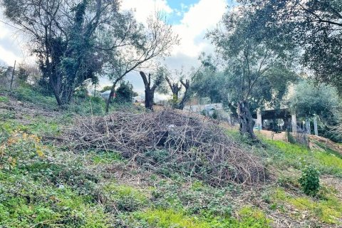 4111m² Land in Corfu, Greece No. 55666 11