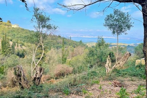 4111m² Land en Corfu, Greece No. 55666 2