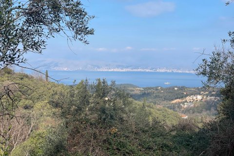 4111m² Land in Corfu, Greece No. 55666 13