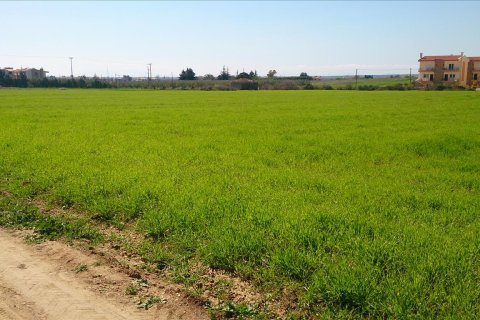 8800m² Land in Polygyros, Greece No. 60494 3