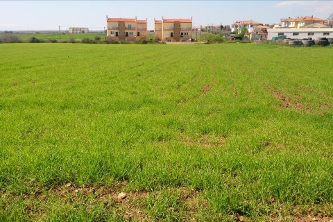 8800m² Land in Polygyros, Greece No. 60494 4