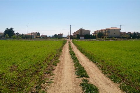 8800m² Land in Polygyros, Greece No. 60494 5