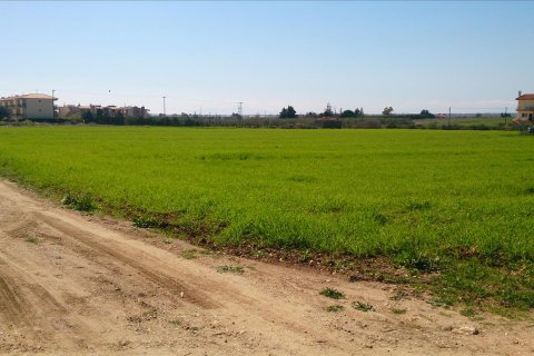 8800m² Land en Polygyros, Greece No. 60494 1