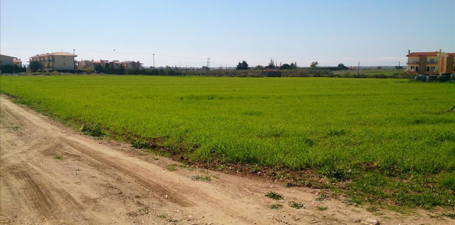 8800m² Land in Polygyros, Greece No. 60494