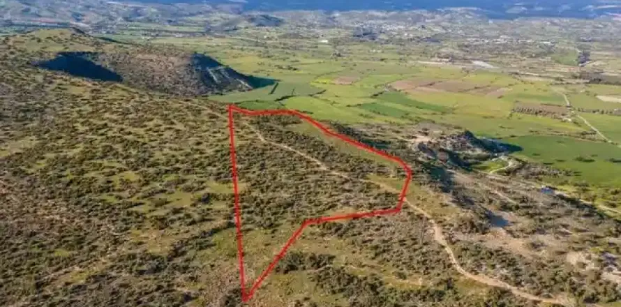 46489m² Land en Pissouri, Cyprus No. 36273