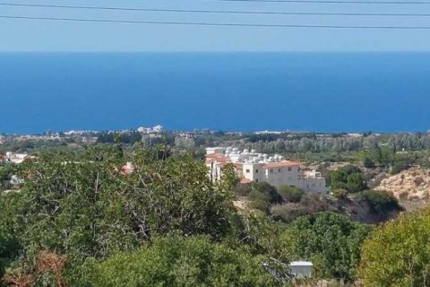 3950m² Land en Tala, Cyprus No. 73959 3