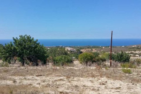 3950m² Land en Tala, Cyprus No. 73959 4