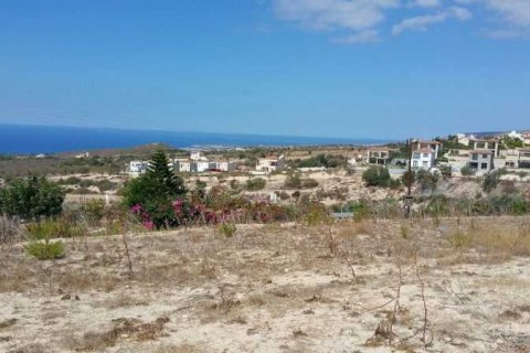 3950m² Land en Tala, Cyprus No. 73959 1