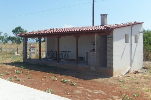 5 chambres Villa à Central Greece, Greece No. 48987 4