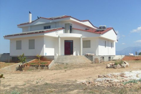 5 chambres Villa à Central Greece, Greece No. 48987 3