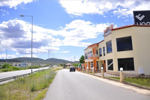 1250m² Commercial property à Chalkidiki, Greece No. 48993 2