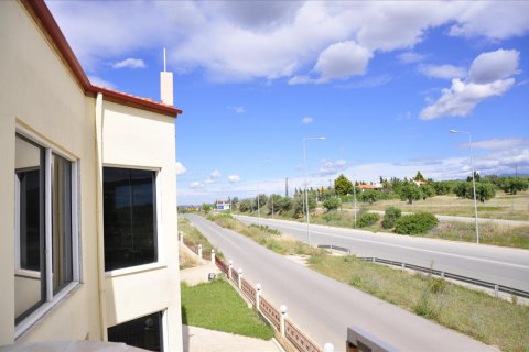 1250m² Commercial property en Chalkidiki, Greece No. 48993 3