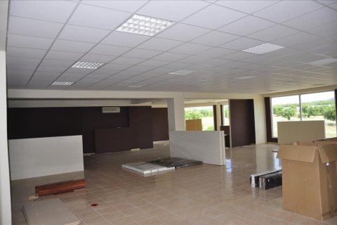 1250m² Commercial property en Chalkidiki, Greece No. 48993 6