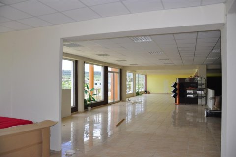 1250m² Commercial property en Chalkidiki, Greece No. 48993 8