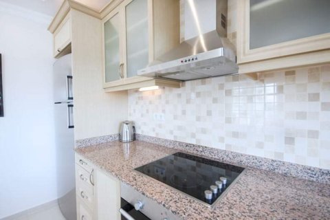 3+1 Apartment in Mahmutlar, Turkey No. 13114 17