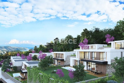 4+1 Villa en Bodrum, Turkey No. 17499 10