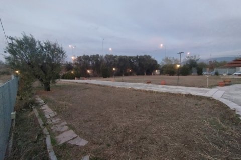 3800m² Land à Thermi, Greece No. 55032 5