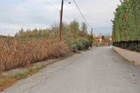 9280m² Land in Litochoro, Greece No. 55031 2