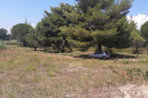 6013m² Land in Chalkidiki, Greece No. 58978 6