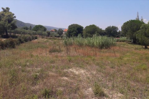 6013m² Land in Chalkidiki, Greece No. 58978 5