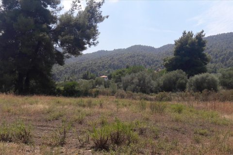 6013m² Land en Chalkidiki, Greece No. 58978 1