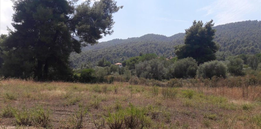 6013m² Land in Chalkidiki, Greece No. 58978