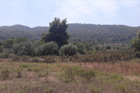 6013m² Land en Chalkidiki, Greece No. 58978 2