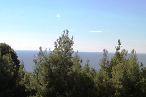 9500m² Land en Chalkidiki, Greece No. 58977 9