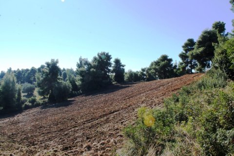 9500m² Land in Chalkidiki, Greece No. 58977 14