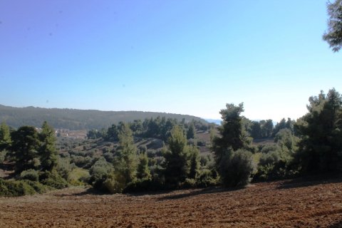 9500m² Land in Chalkidiki, Greece No. 58977 13