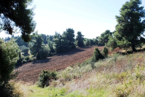 9500m² Land in Chalkidiki, Greece No. 58977 3