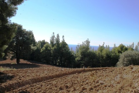 9500m² Land en Chalkidiki, Greece No. 58977 12