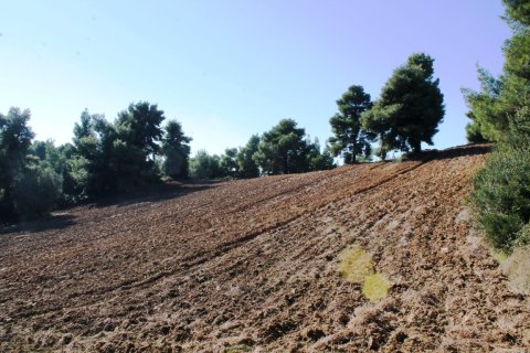 9500m² Land in Chalkidiki, Greece No. 58977 5