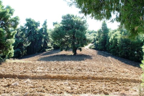 9500m² Land in Chalkidiki, Greece No. 58977 8