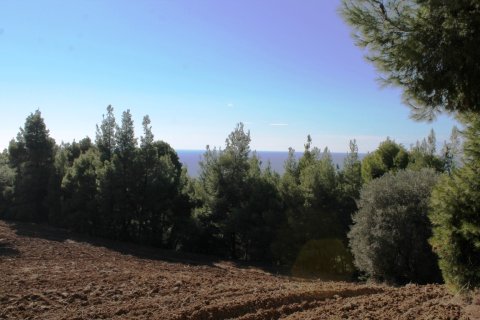 9500m² Land in Chalkidiki, Greece No. 58977 10