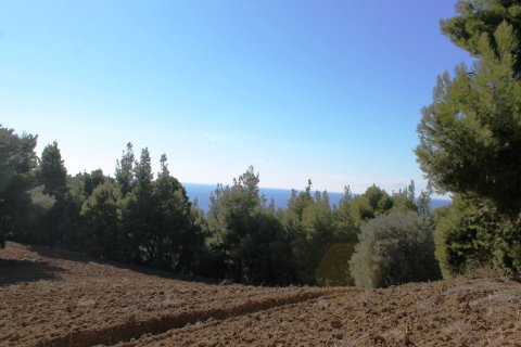 9500m² Land in Chalkidiki, Greece No. 58977 1